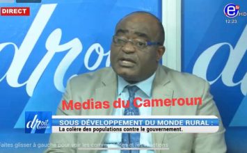 «  Le Cameroun est gouverné par le ministre d’Etat Ngoh Ngoh » Pascal Messanga Nyamding  Qui est en poste ?